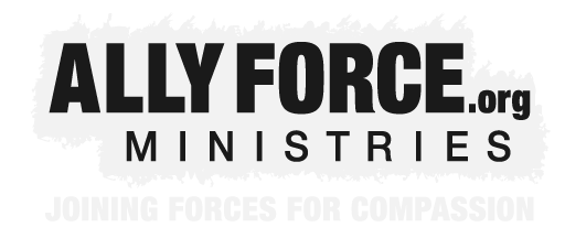 Ally Force Logo